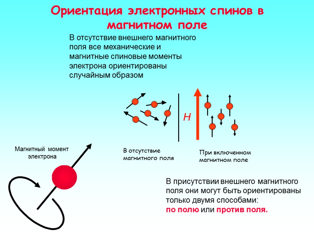 Ориентация электронных спинов в магнитном поле В отсутствие внешнего магнитного поля все механические и